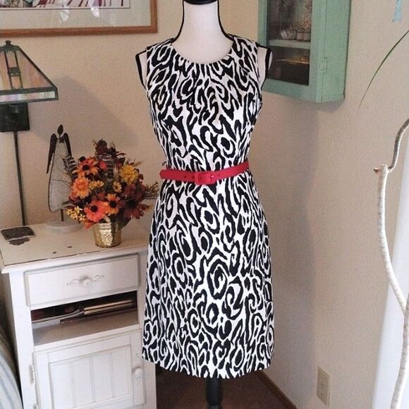 NEW Dressbarn Black and White Dress - Picture 1 of 11